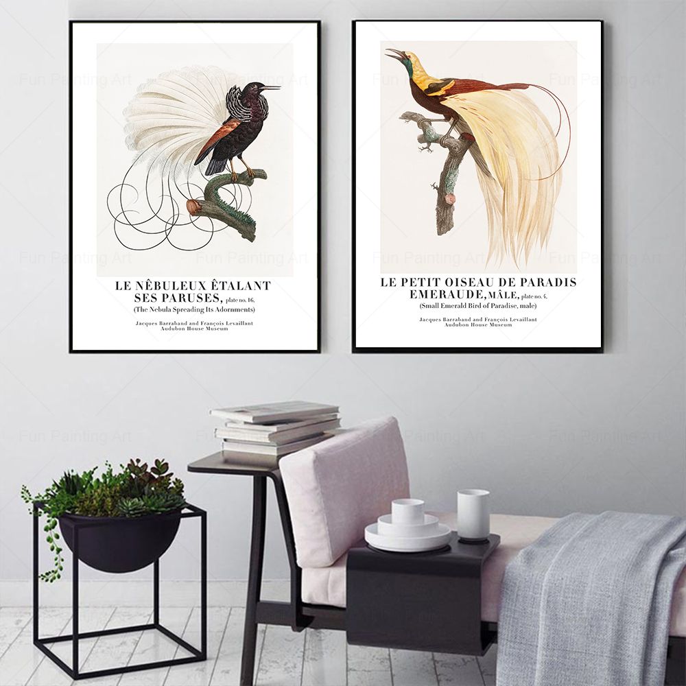 ヴィンテージパラダイス鳥壁アートキャンバス絵画博物館北欧ポス - Furniture Paradise & Hardware Ghaziabad By Owner のレビューと価格
