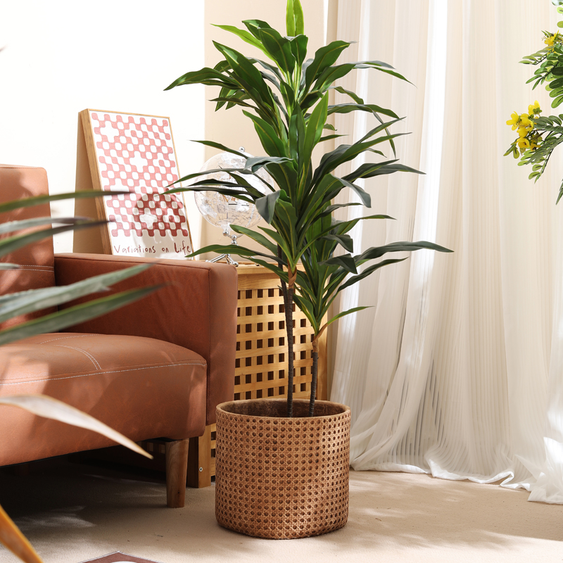 小型アパート用家具 床から天井までの植木鉢 ホームホール ガ - Furniture Paradise & Hardware Ghaziabad By Owner のレビューと価格