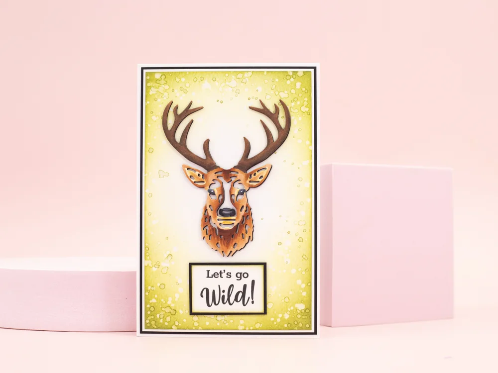 パラダイスアレイプレーリービジターカッティングダイススクラッ - Furniture Paradise & Hardware Ghaziabad By Owner のレビューと価格